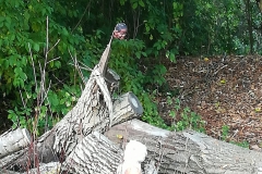 dig